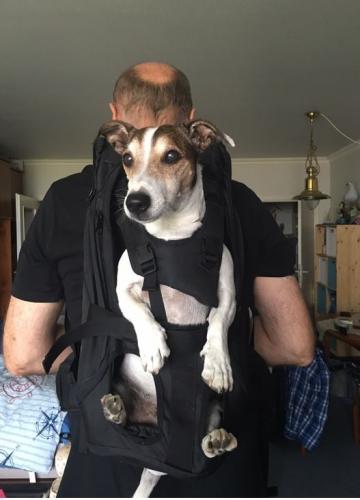 Hunderucksack zum Tragen von Hunden bis 16 kg Gewicht zum Wandern, Mountainbiken und vieles mehr